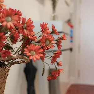  Apartamento Céntrico Y Con Encanto - Guggenheim&casco Viejo España